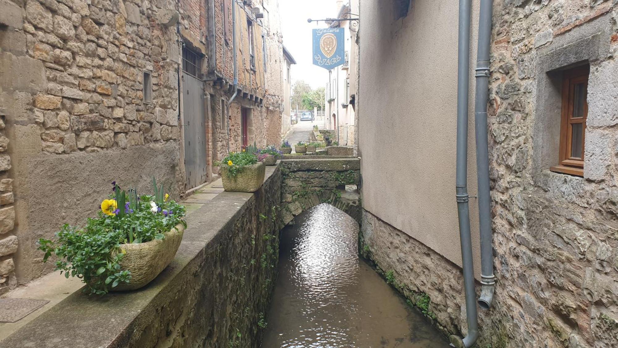 Seuls En Pleine Nature - Gite La Cote Blanche Puygaillard-de-Quercy Екстер'єр фото