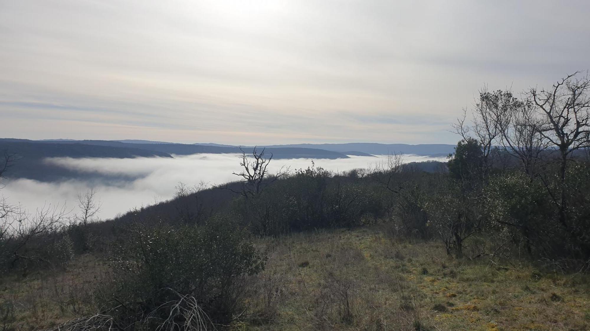 Seuls En Pleine Nature - Gite La Cote Blanche Puygaillard-de-Quercy Екстер'єр фото