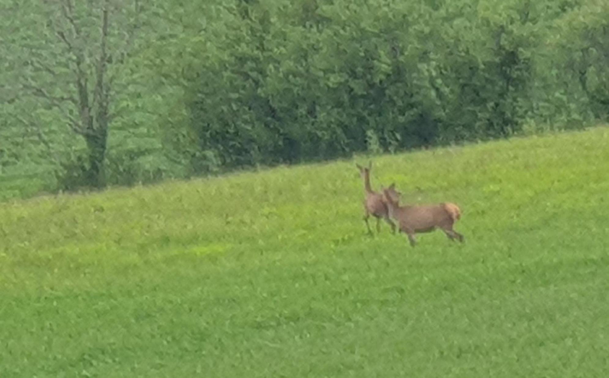 Seuls En Pleine Nature - Gite La Cote Blanche Puygaillard-de-Quercy Екстер'єр фото