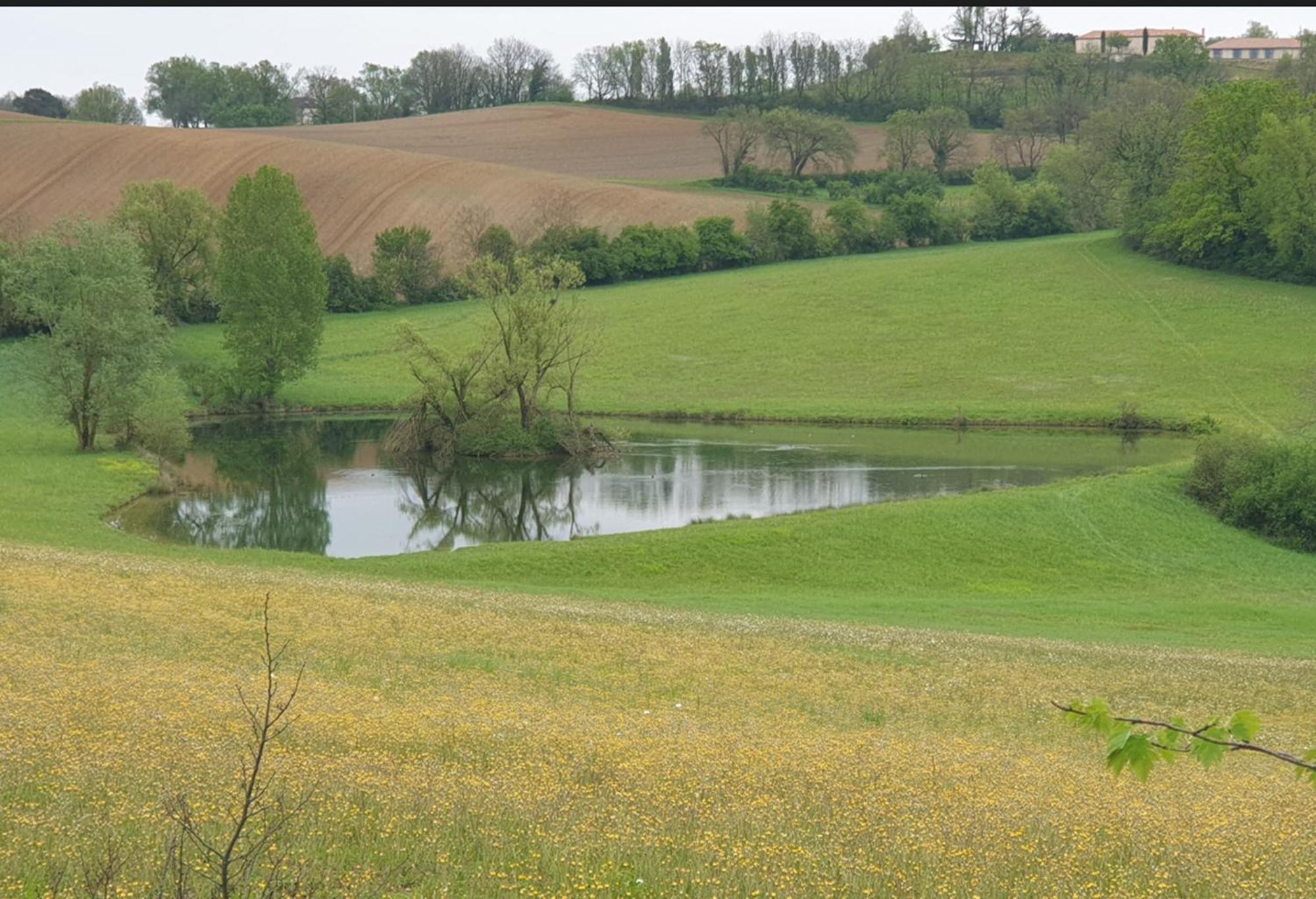 Seuls En Pleine Nature - Gite La Cote Blanche Puygaillard-de-Quercy Екстер'єр фото