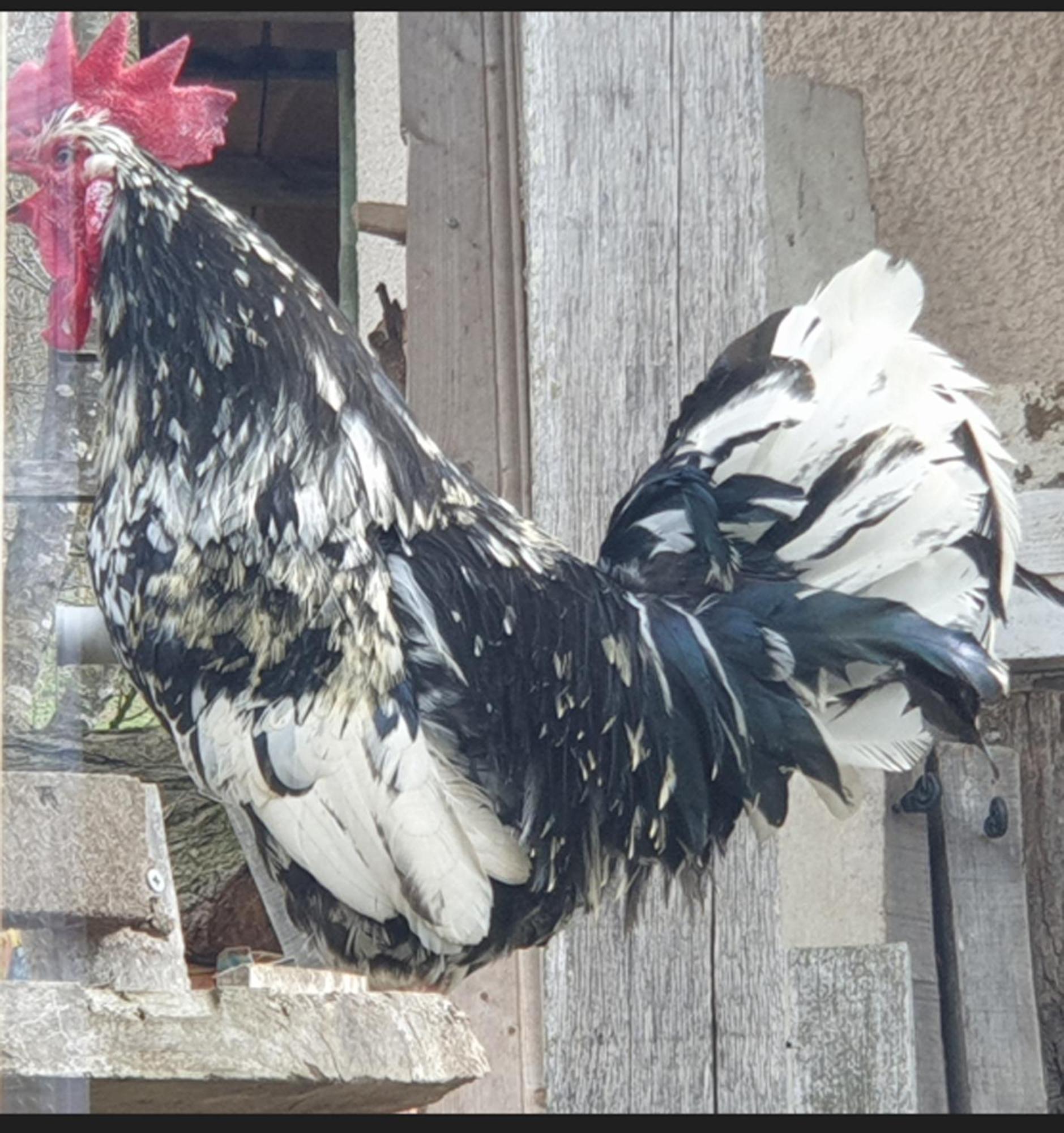 Seuls En Pleine Nature - Gite La Cote Blanche Puygaillard-de-Quercy Екстер'єр фото